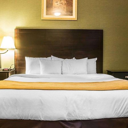 Comfort Inn Whitehall Near Michigan'S Adventure Ngoại thất bức ảnh