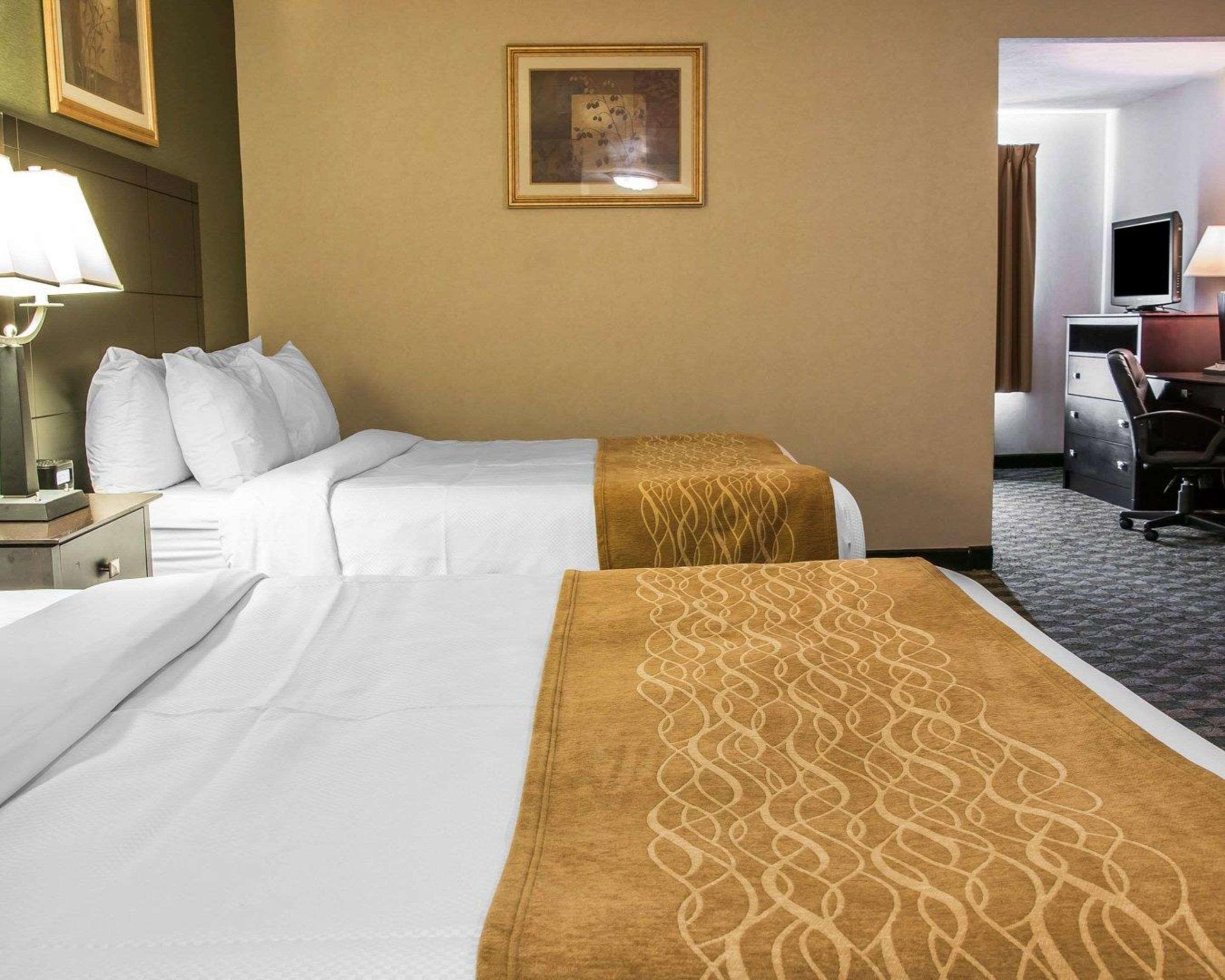 Comfort Inn Whitehall Near Michigan'S Adventure Ngoại thất bức ảnh