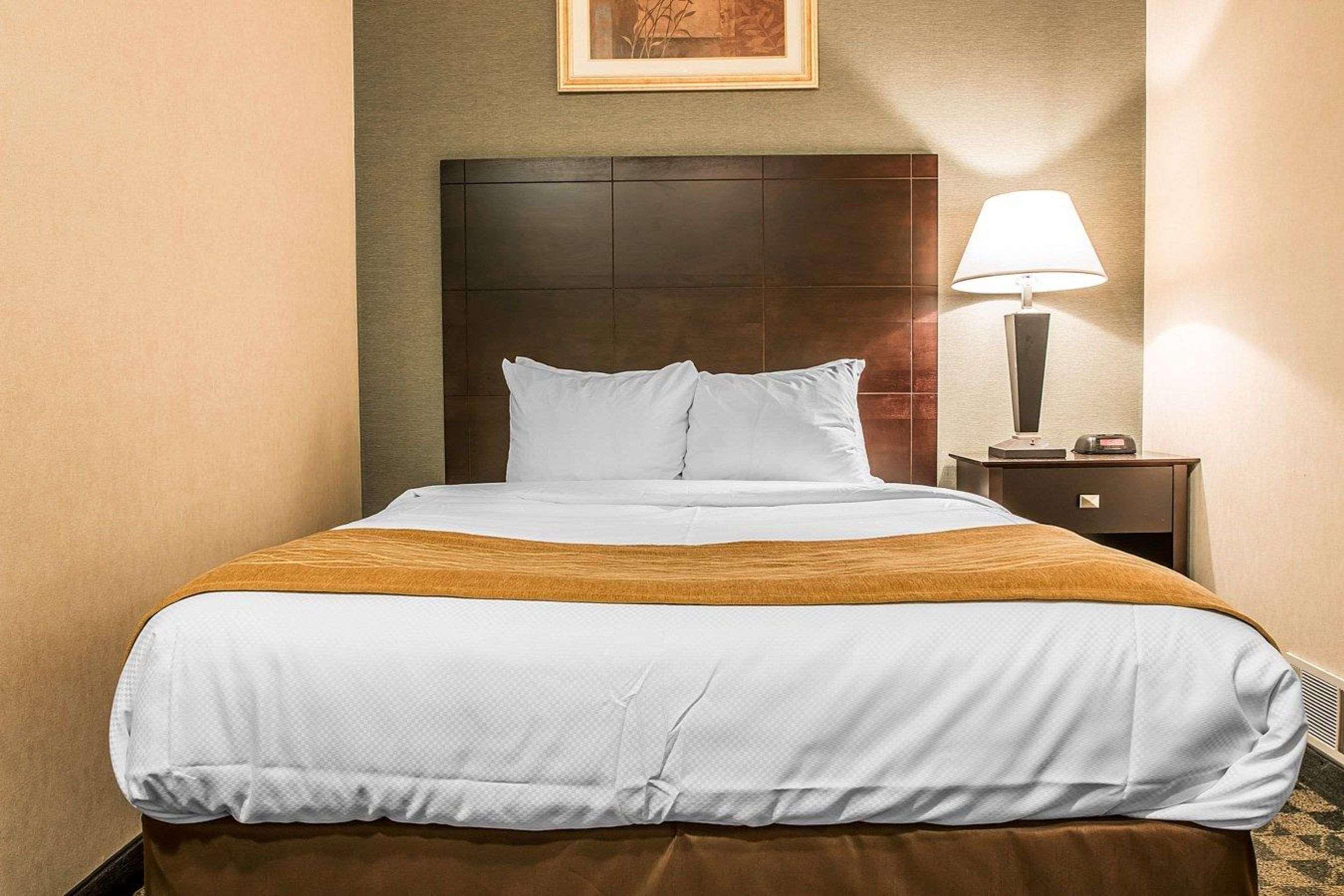 Comfort Inn Whitehall Near Michigan'S Adventure Ngoại thất bức ảnh
