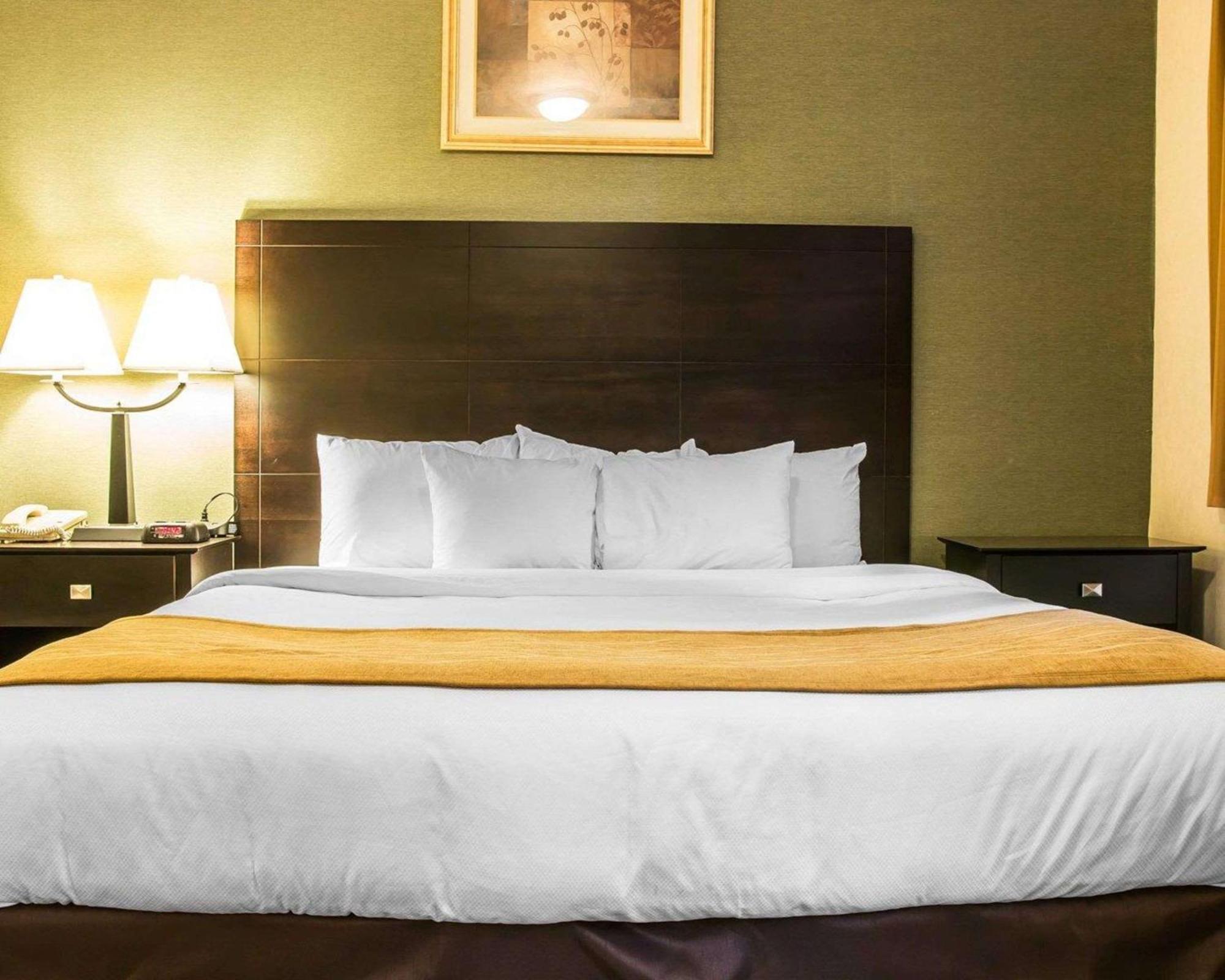 Comfort Inn Whitehall Near Michigan'S Adventure Ngoại thất bức ảnh