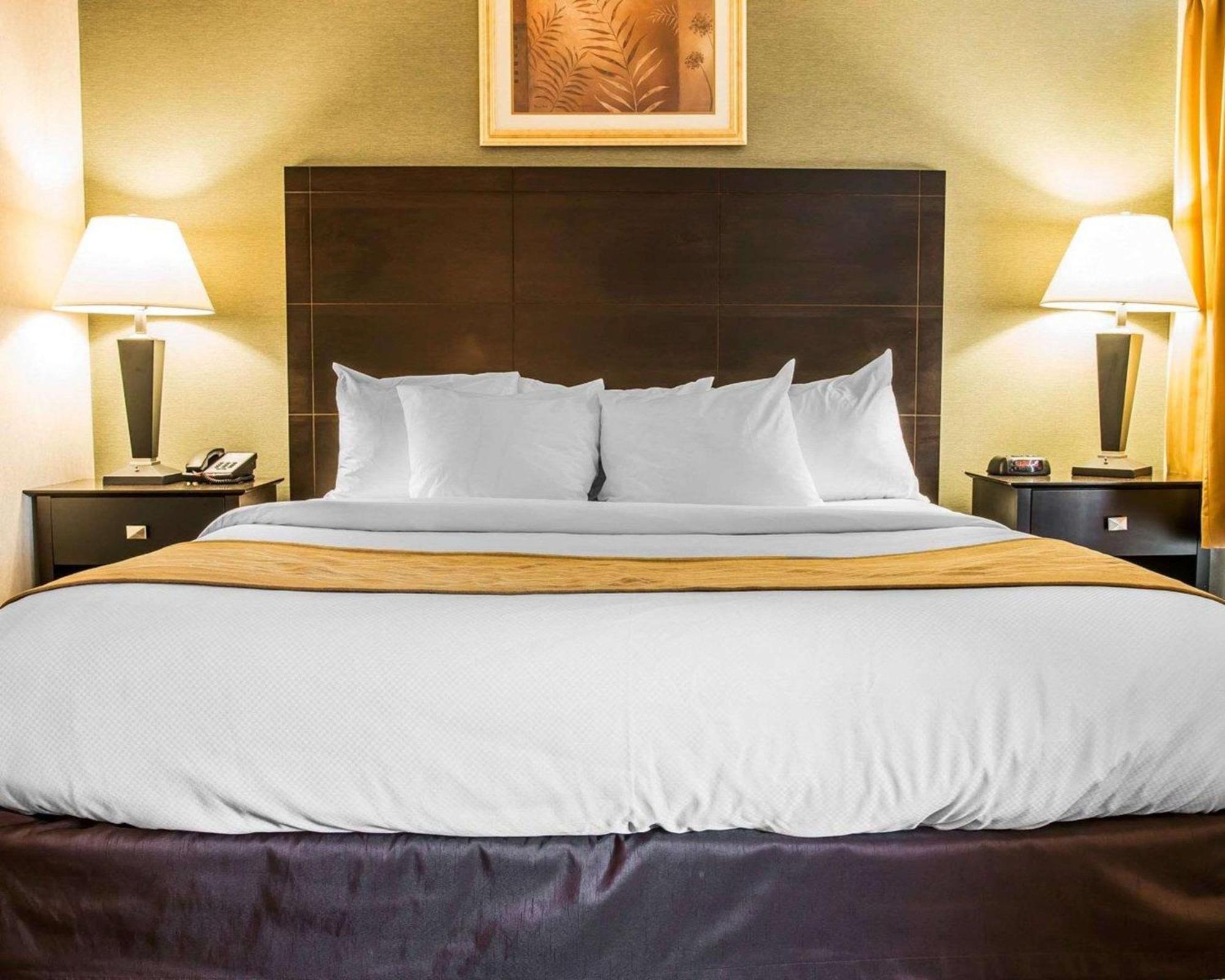 Comfort Inn Whitehall Near Michigan'S Adventure Ngoại thất bức ảnh